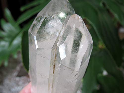 Amazon.co.jp: モンドクォーツ タンザニア産水晶原石の通販/販売 |【鬮